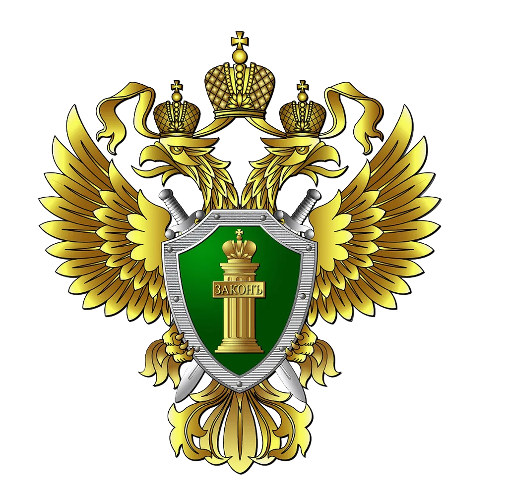 Прокуратура РФ